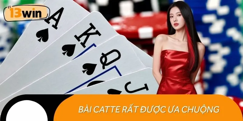 Bài catte rất được ưa chuộng trong cộng đồng