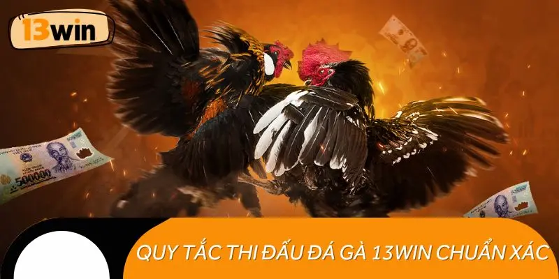 Quy tắc thi đấu đá gà 13WIN chuẩn xác, minh bạch