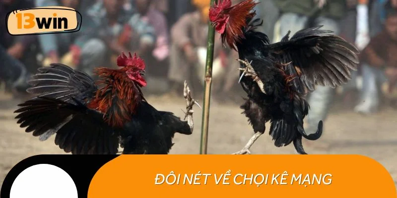 Đôi nét về chọi kê mạng